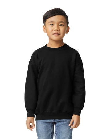 Youth sweatshirt